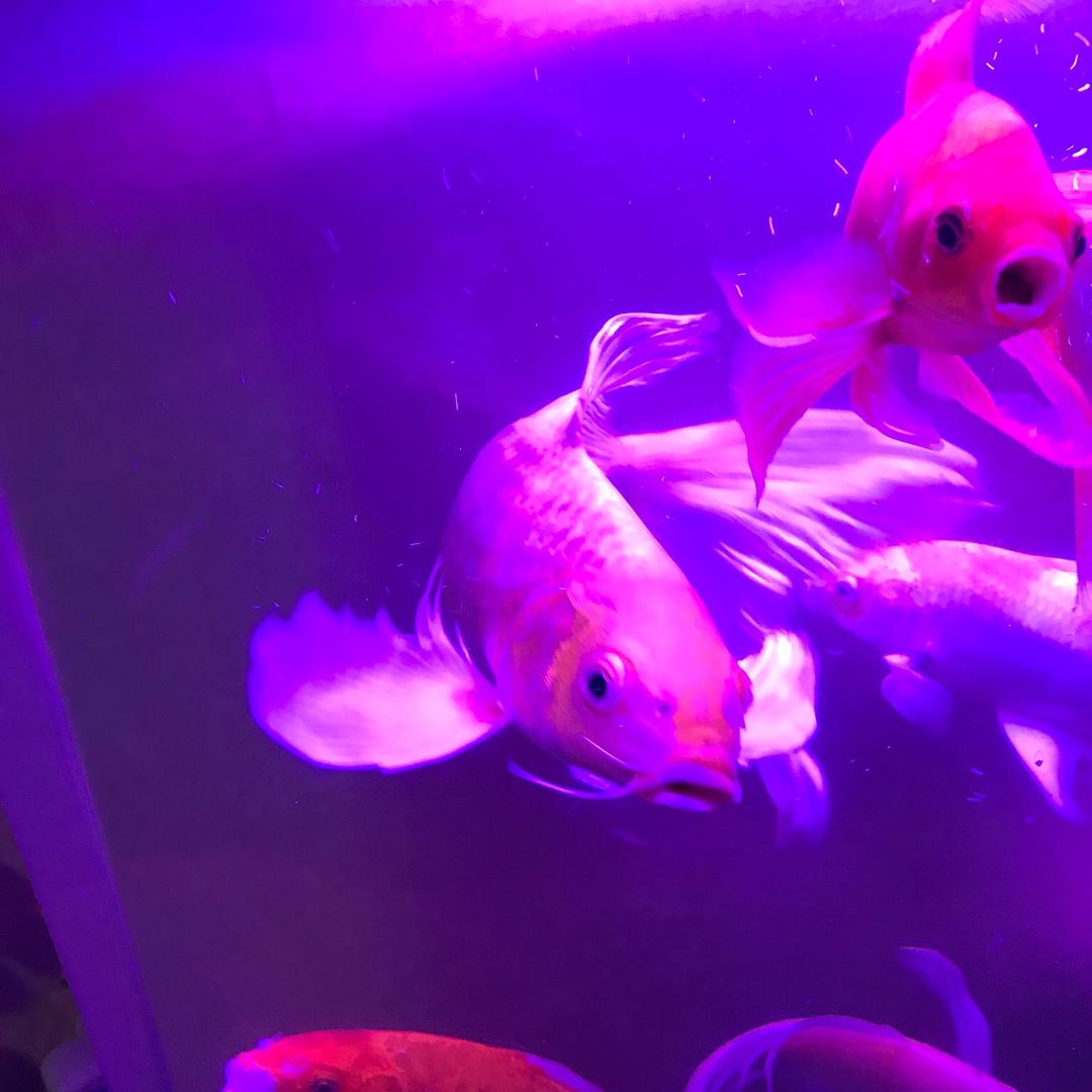 闺蜜闺蜜甜蜜蜜