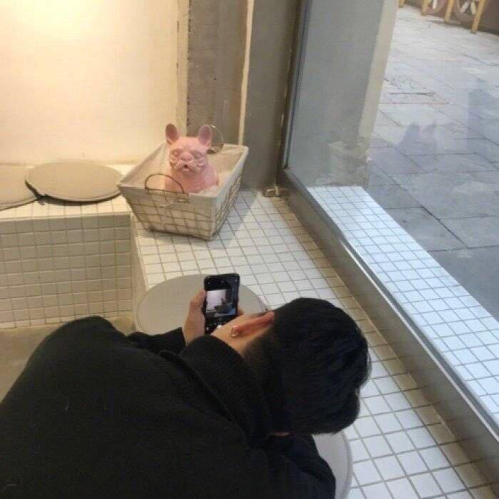 你头发乱了噢