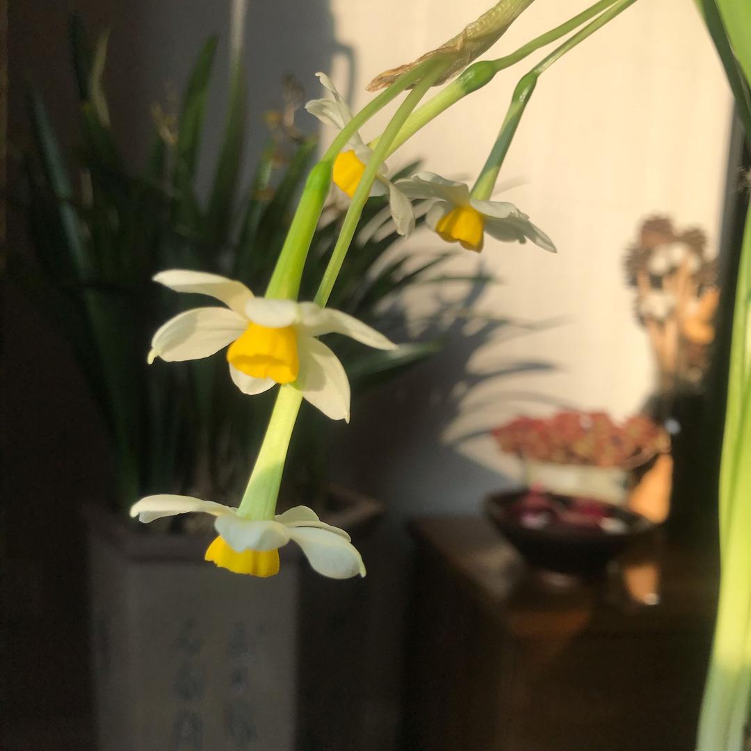 星星的陪伴