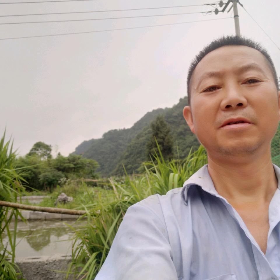 出租车旅游租车包车服务