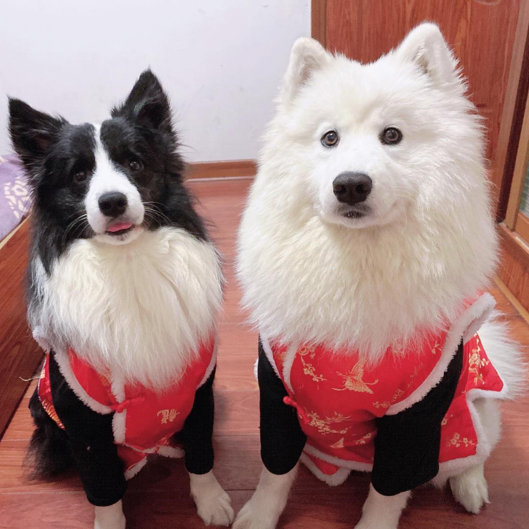 边萨组合