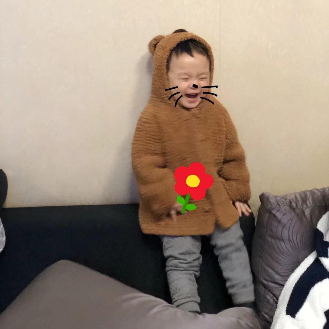 小曲奇的小饼干