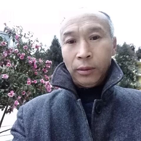 人生是梦
