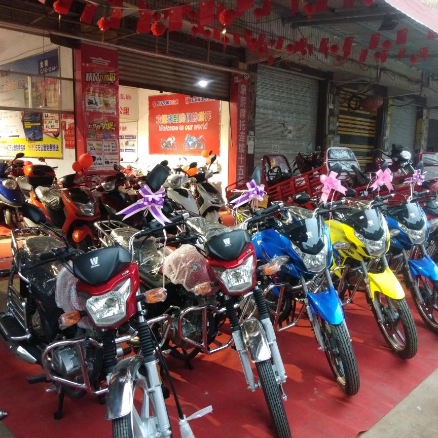 驯龙卖豪爵摩托车雅迪电动车的燕子姐姐