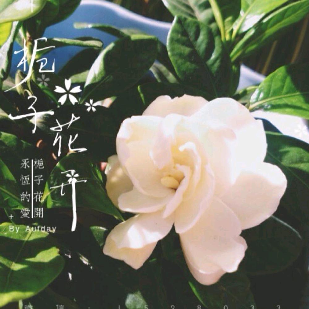 小肥羊🐑🐑🐑