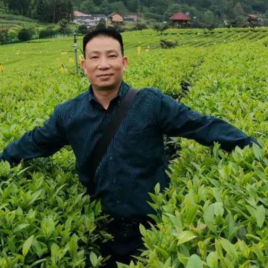 来者不拒之茶如人生