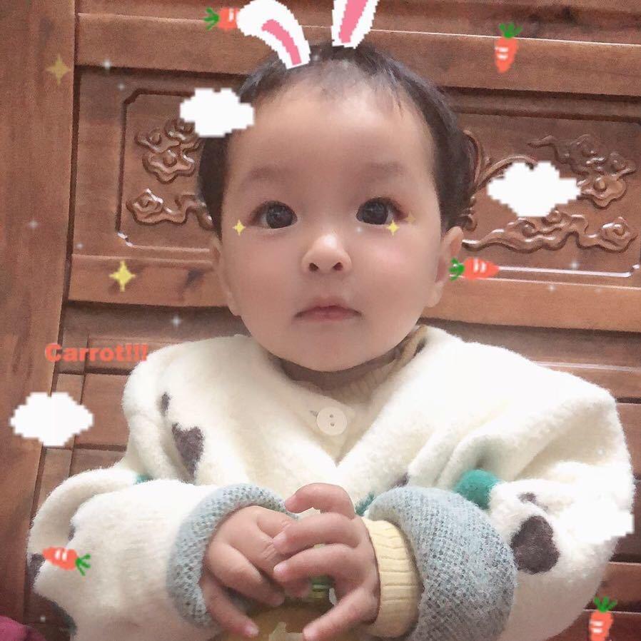 🌈韦氏家族🌈