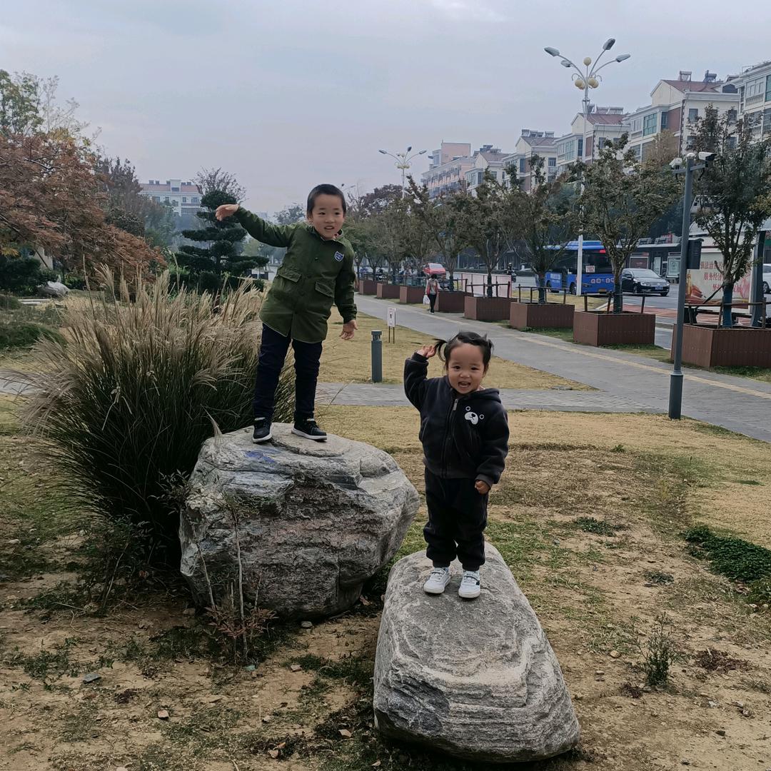 句容市天王镇楠楠苗木种植基地（造型乌桕基