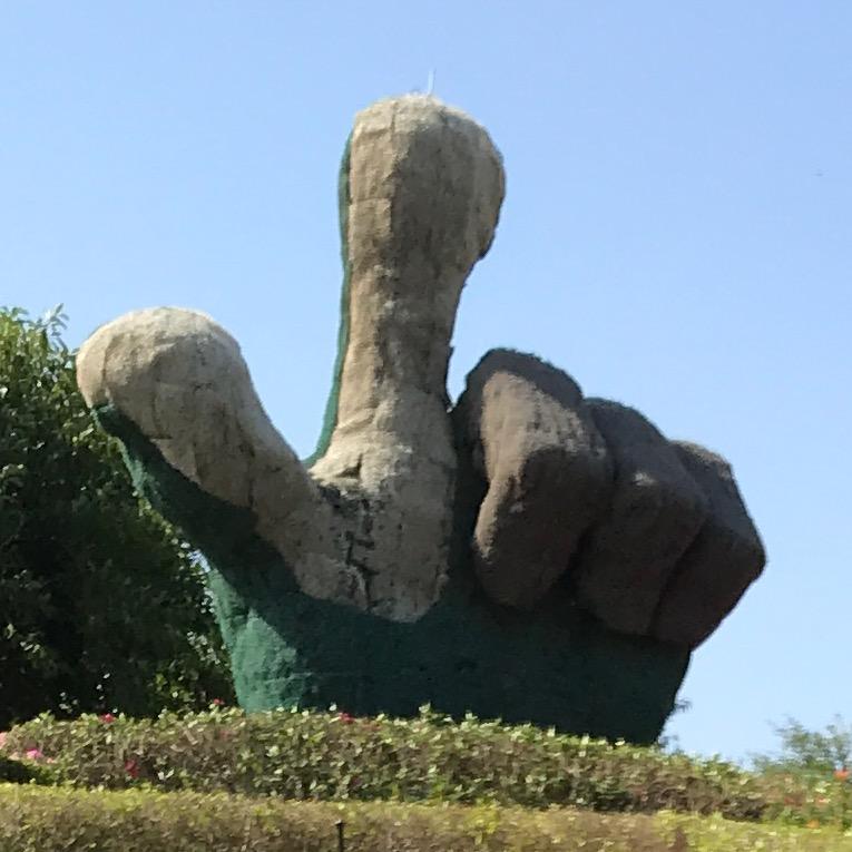 小猪天空