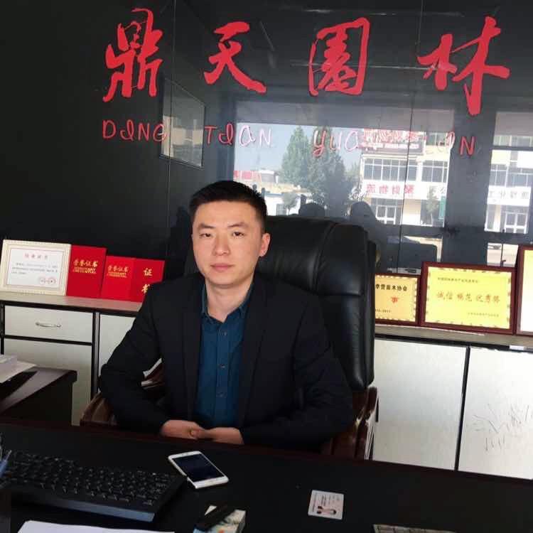 鼎天园林绿化