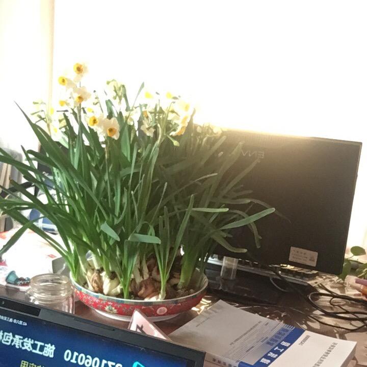 射阳经济开发区佳运门市