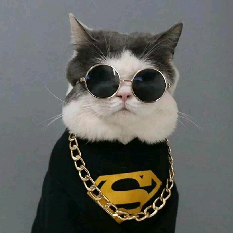 白告✔