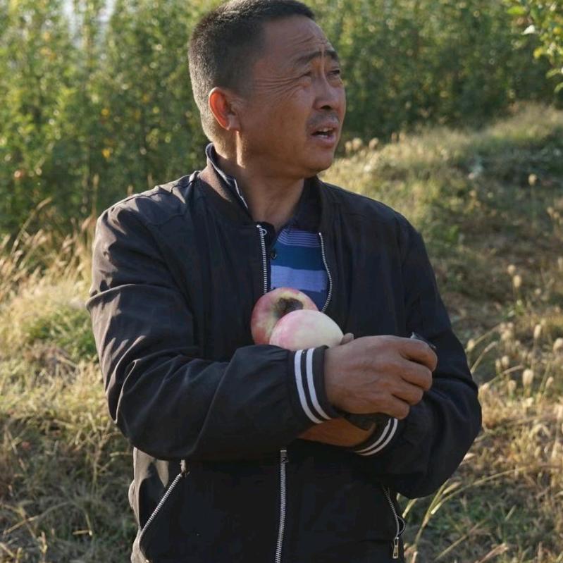 狼牙山老张苹果