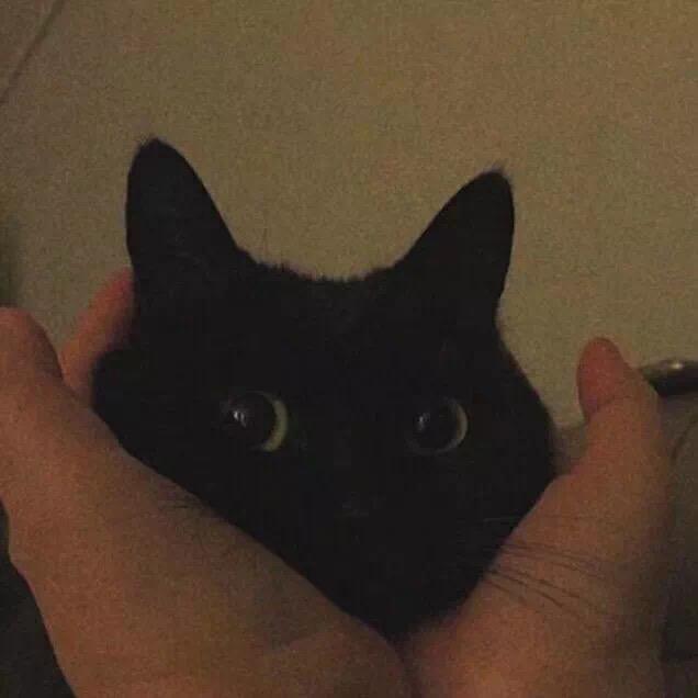 可楽