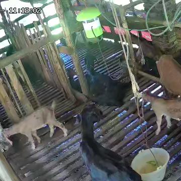 山水生态
