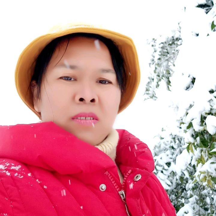 小燕子