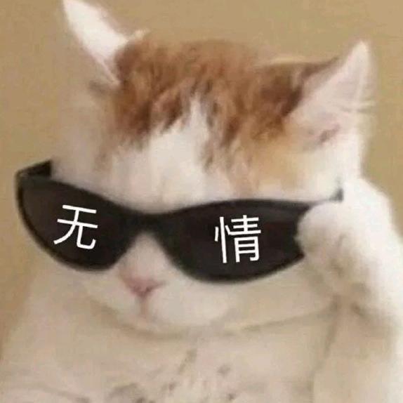 枪虚刀软人窝囊