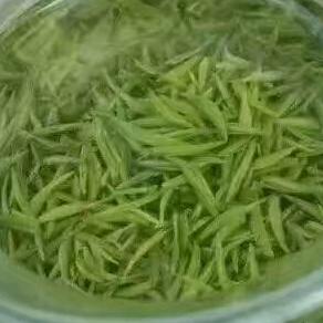 星语儿