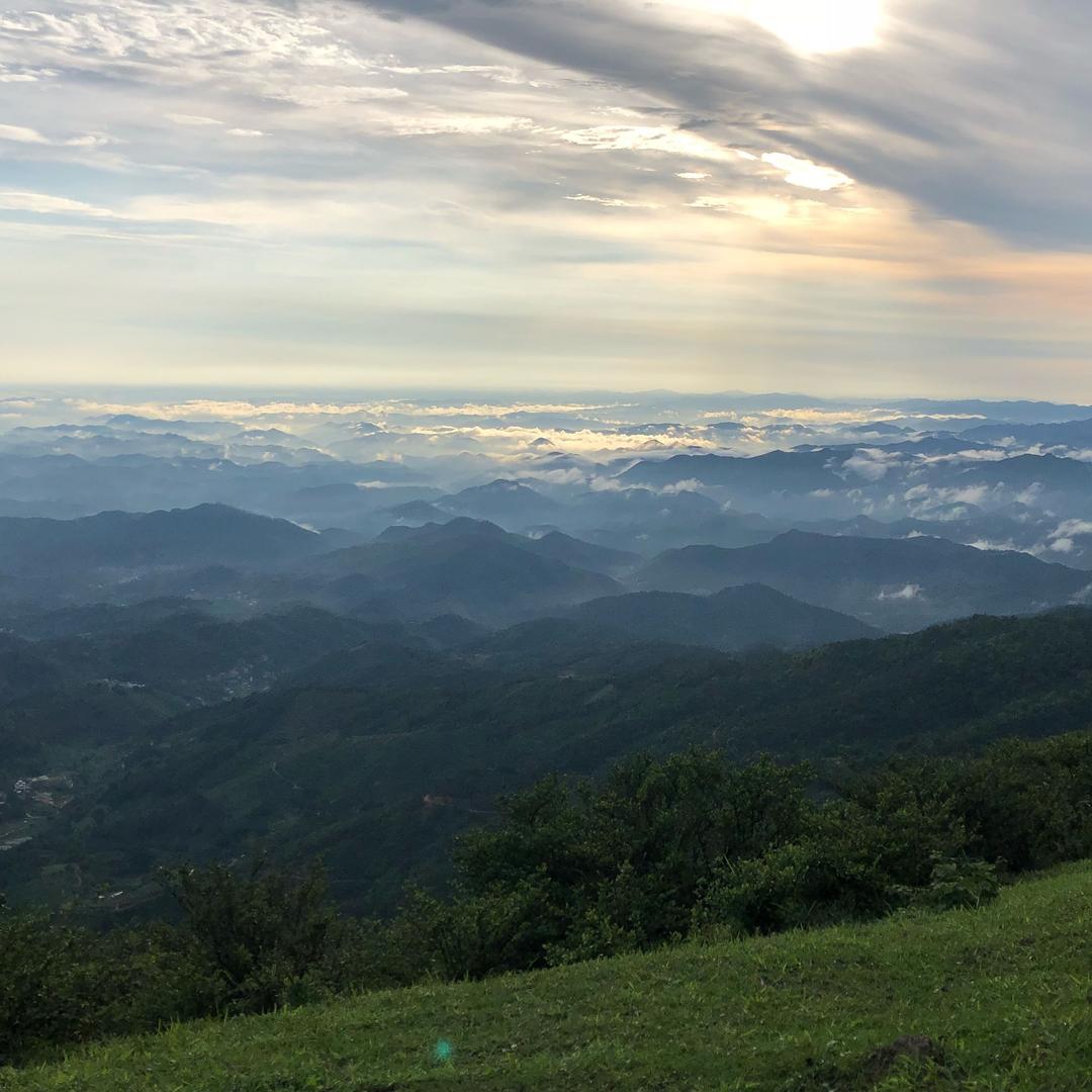 佛山大沥致远石材