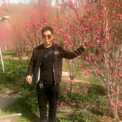 关中男人