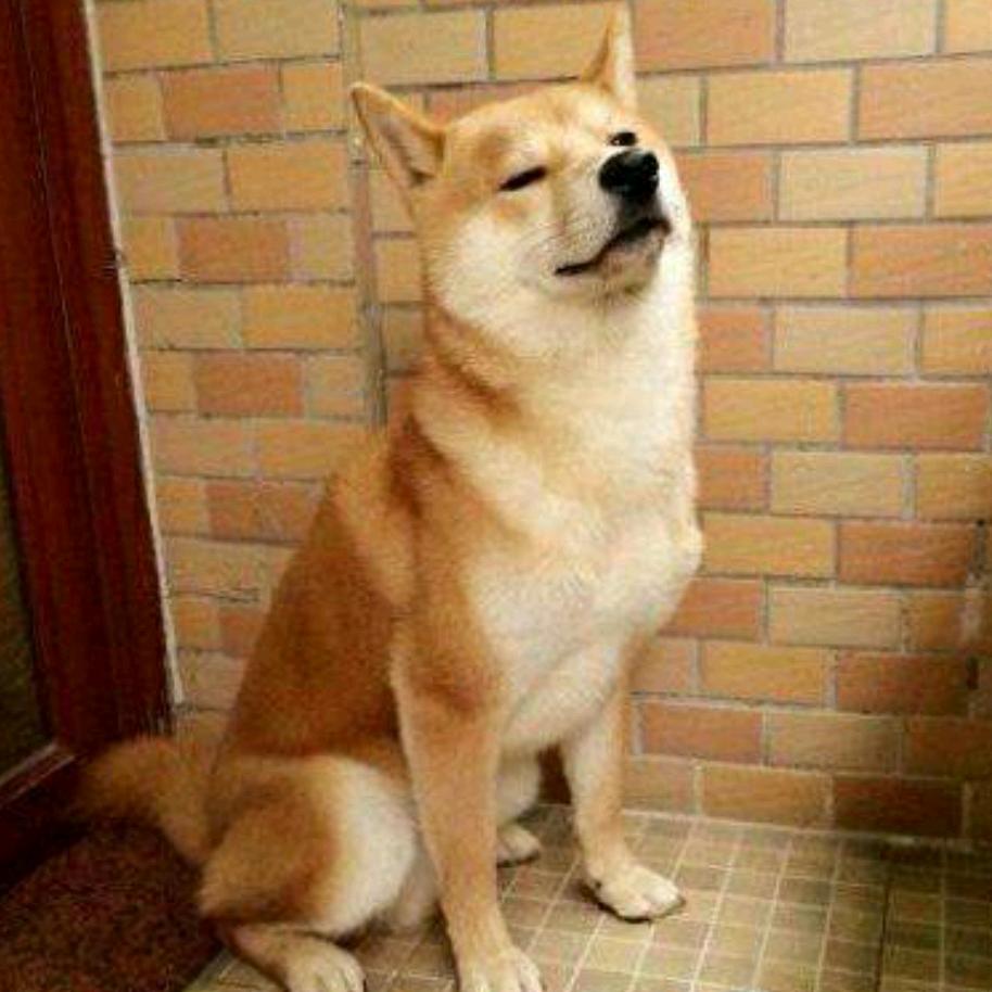 哈 哈