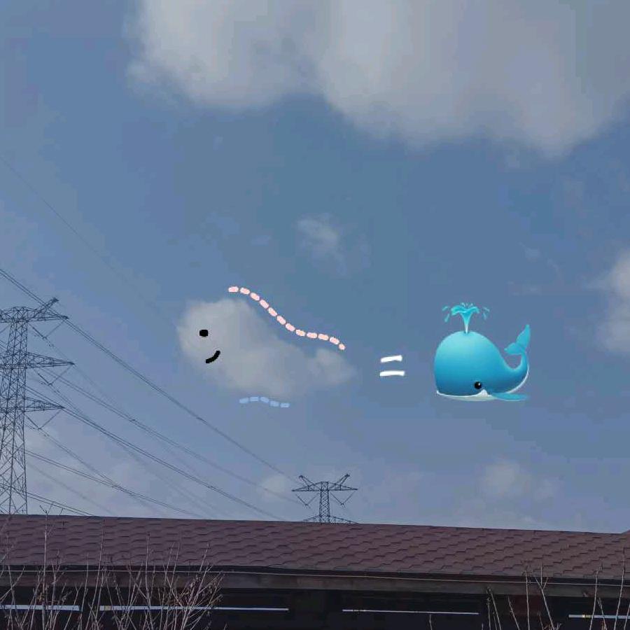 梦想