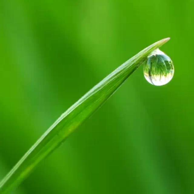 🍀&❤️💞༊依窗ღ᭄听雨ꦿ꯭এ᭄