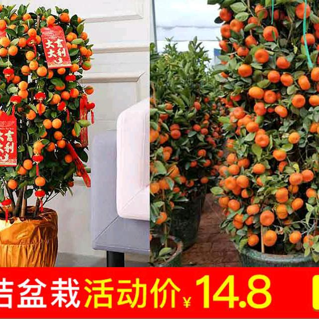 唯一的你