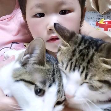 猫妈自律又嘴馋