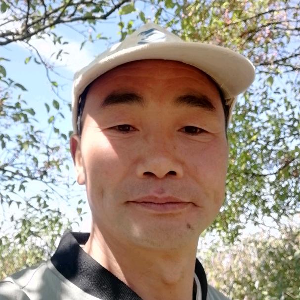 平儿哥哥聊养猪