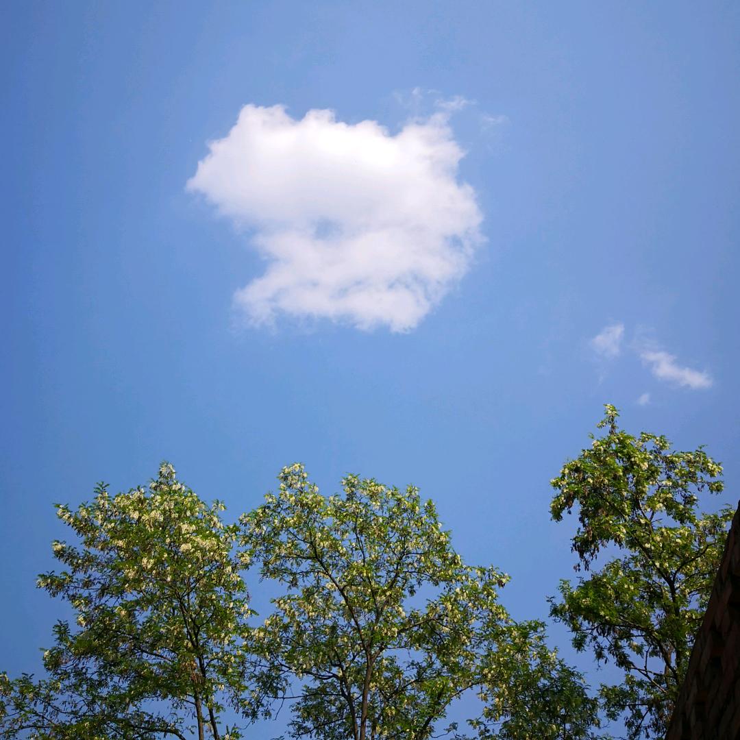 小星