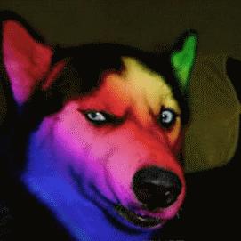 咸鱼翻身把家当