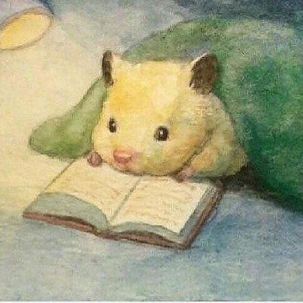 陈皮妹🌸小跑腿