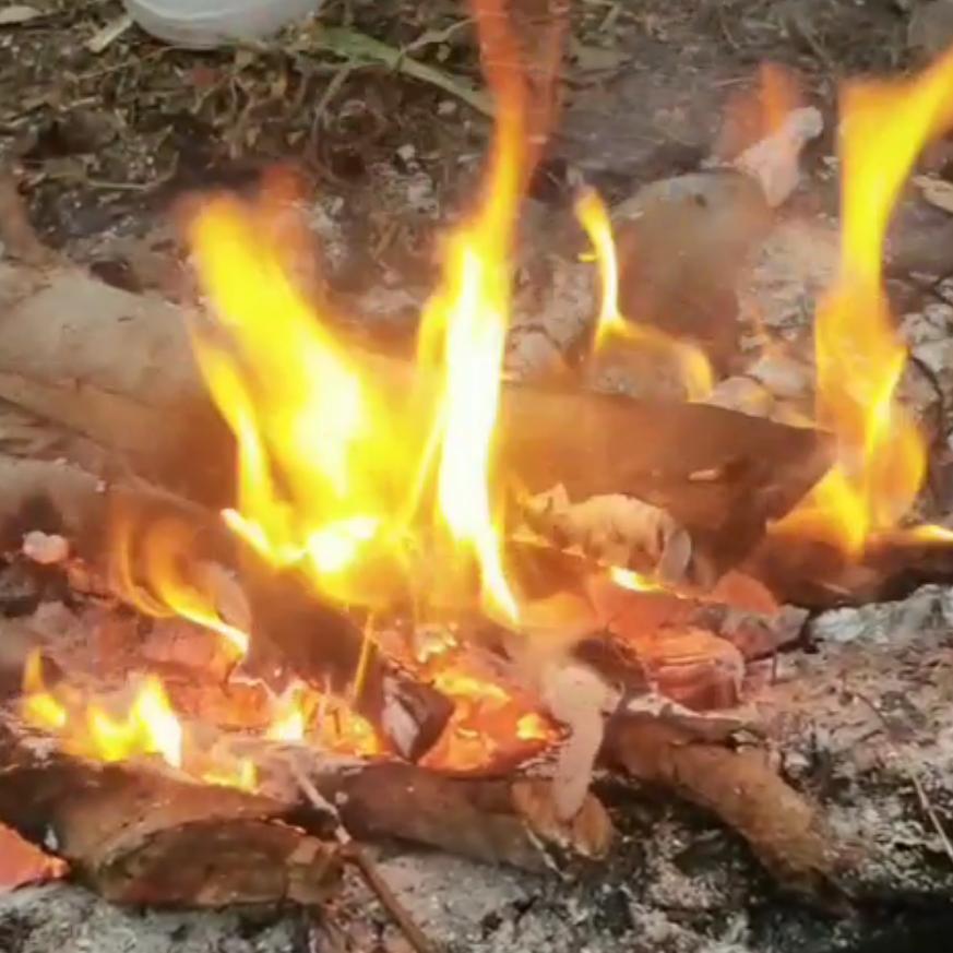 夜独黑/&tlmtlnk/tdnoW6J