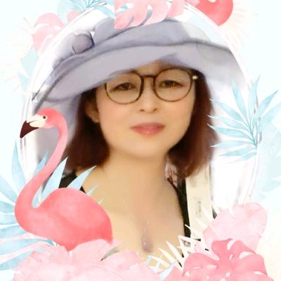 安妮邹