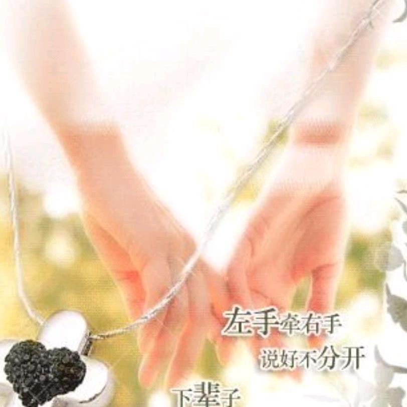 致爱丽丝