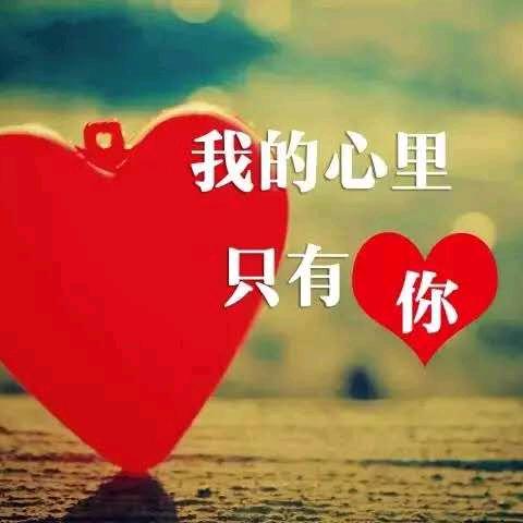 蔡淋宝