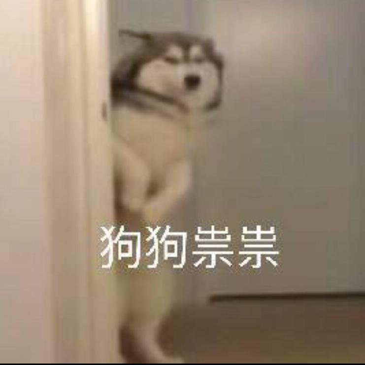 猪皮恶霸