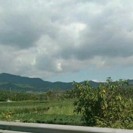 婷恋蝶舞演出服厂家