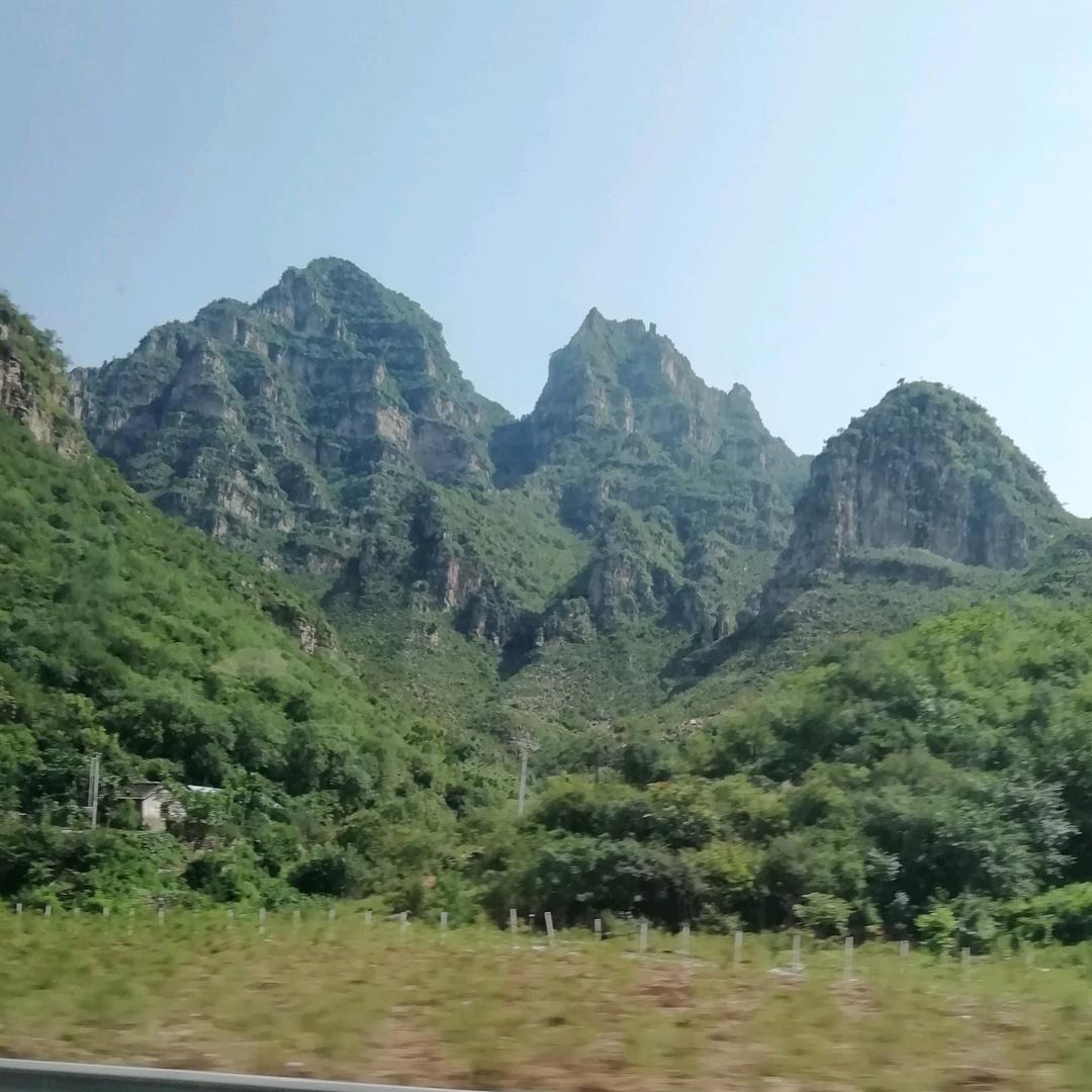 还在想