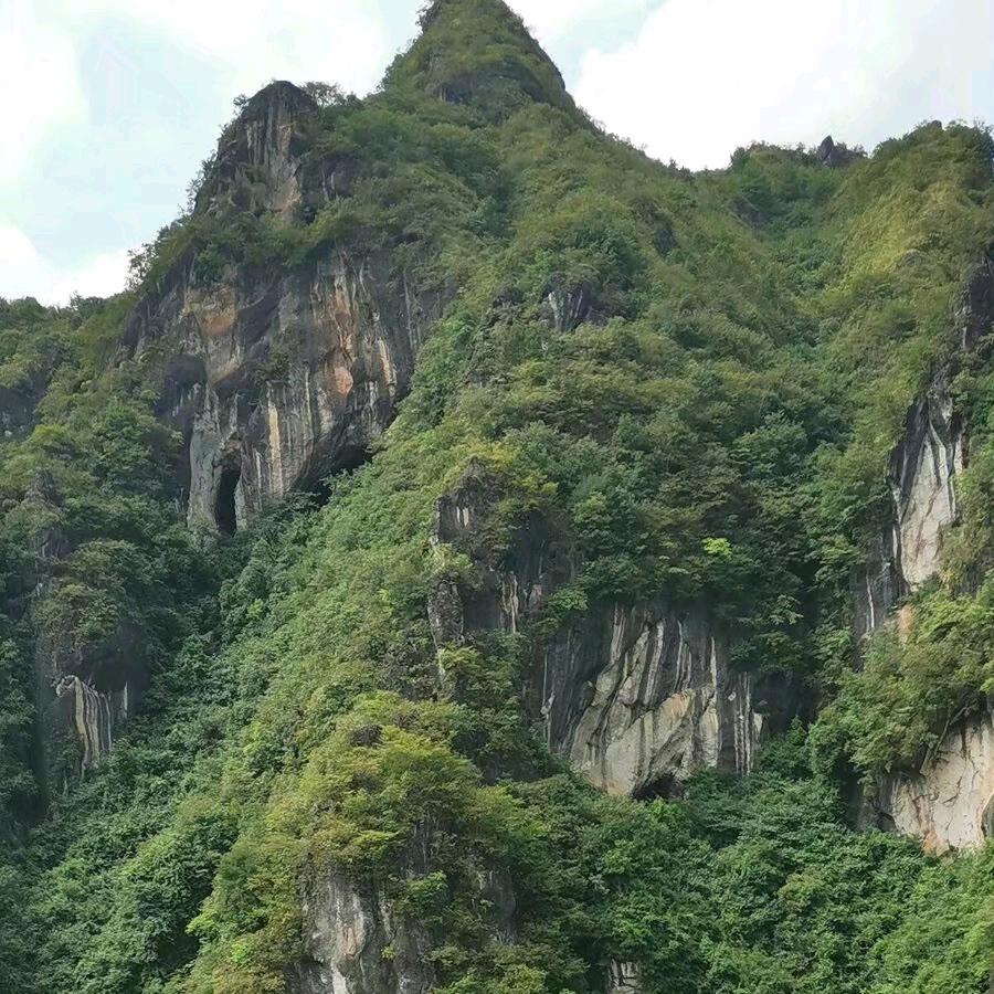 众里荨她千百杜