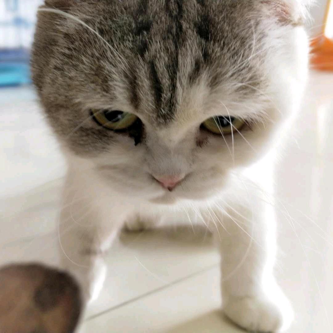 大锤与七夕
