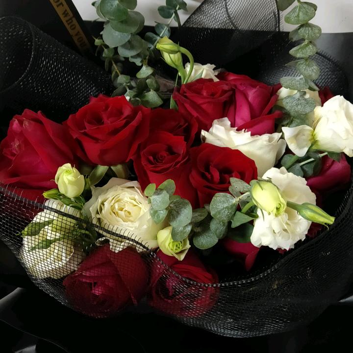 桀骜不驯《DL》