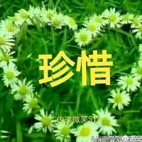 不负遇见