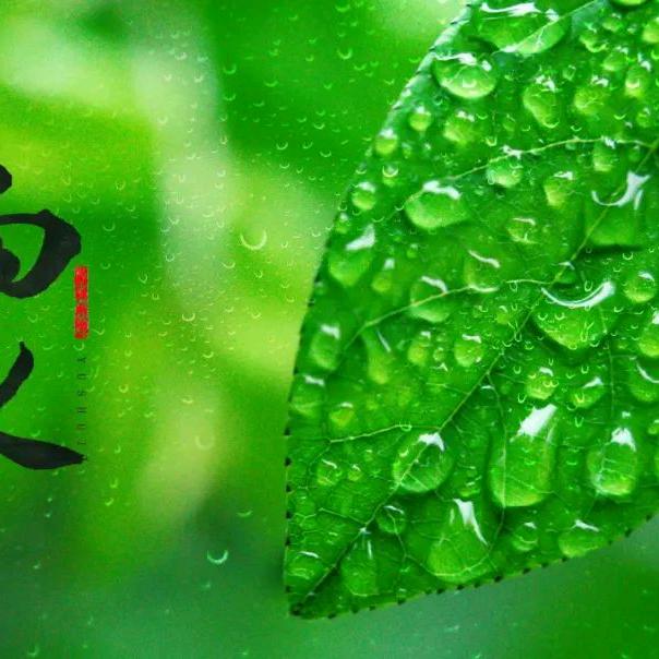 吴老大II