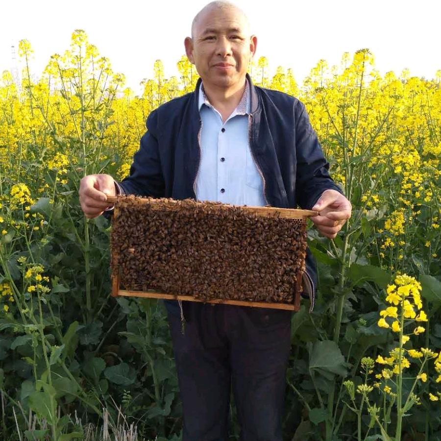 情缘哥