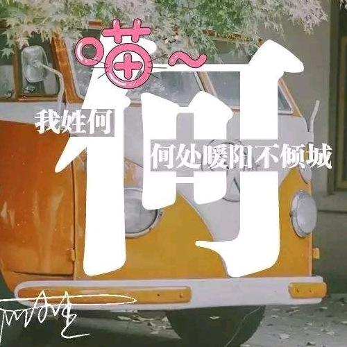 👍何氏👍
