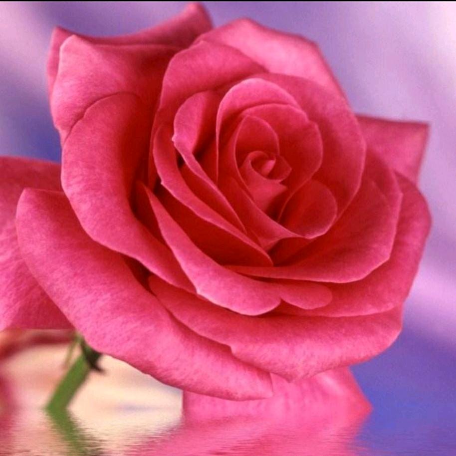 美帖美🔥美美哒