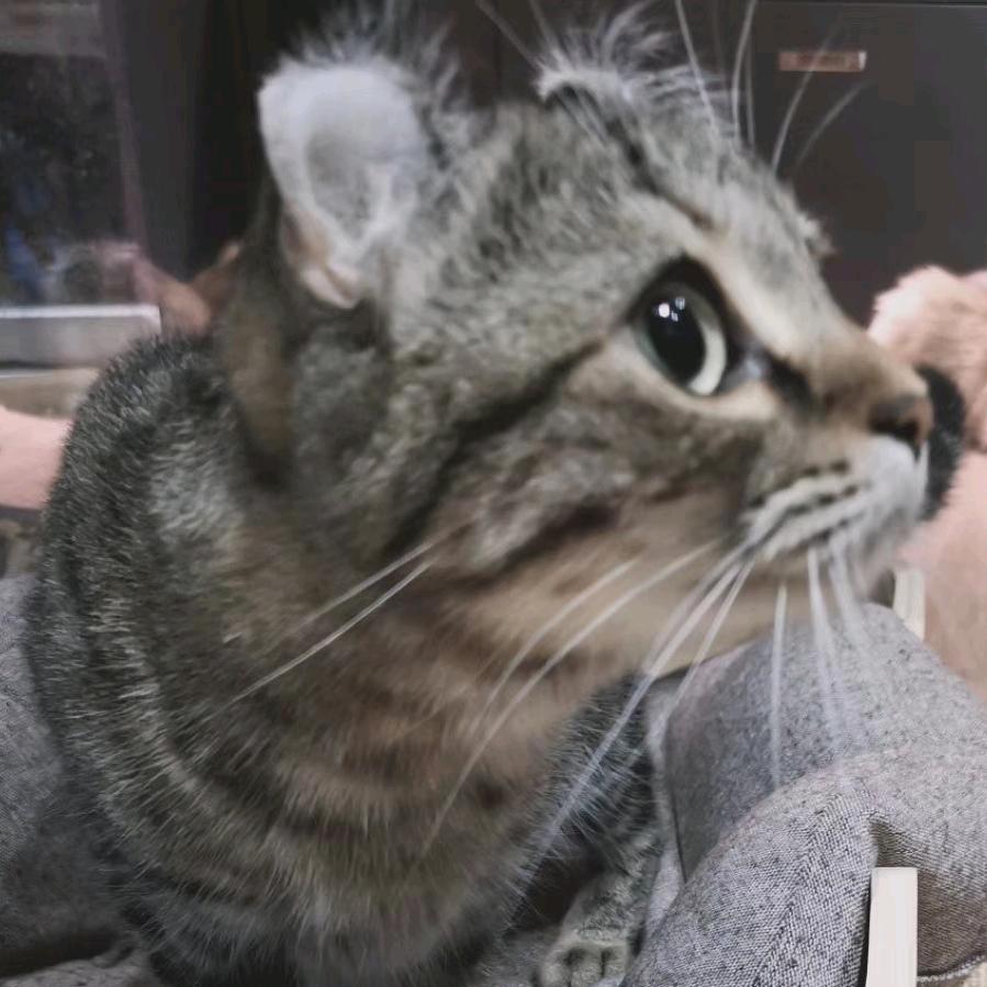 下雨天打死不出门