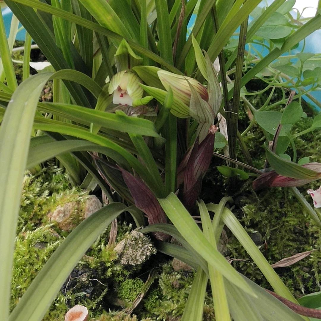 专业各种装修谭